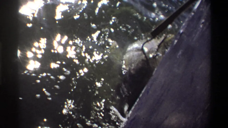 1969 Nigeria 8mm frame showing a large hooked fish breaking the surface beside a small boat in bright reflected sunlight.