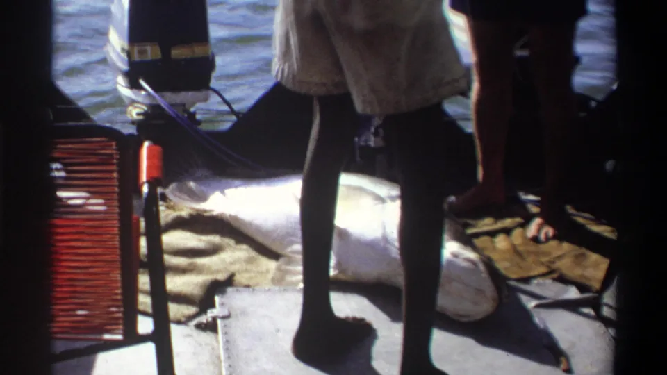 On a small boat in Nigeria in 1969, standing legs, sandals, a red slatted seat, and a large silver fish are visible near the deck.