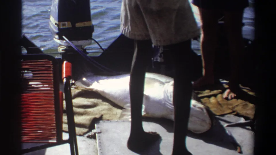 The final frame shows the large fish on or near the boat floor, with standing people, sandals, the red seat, and open water in view.