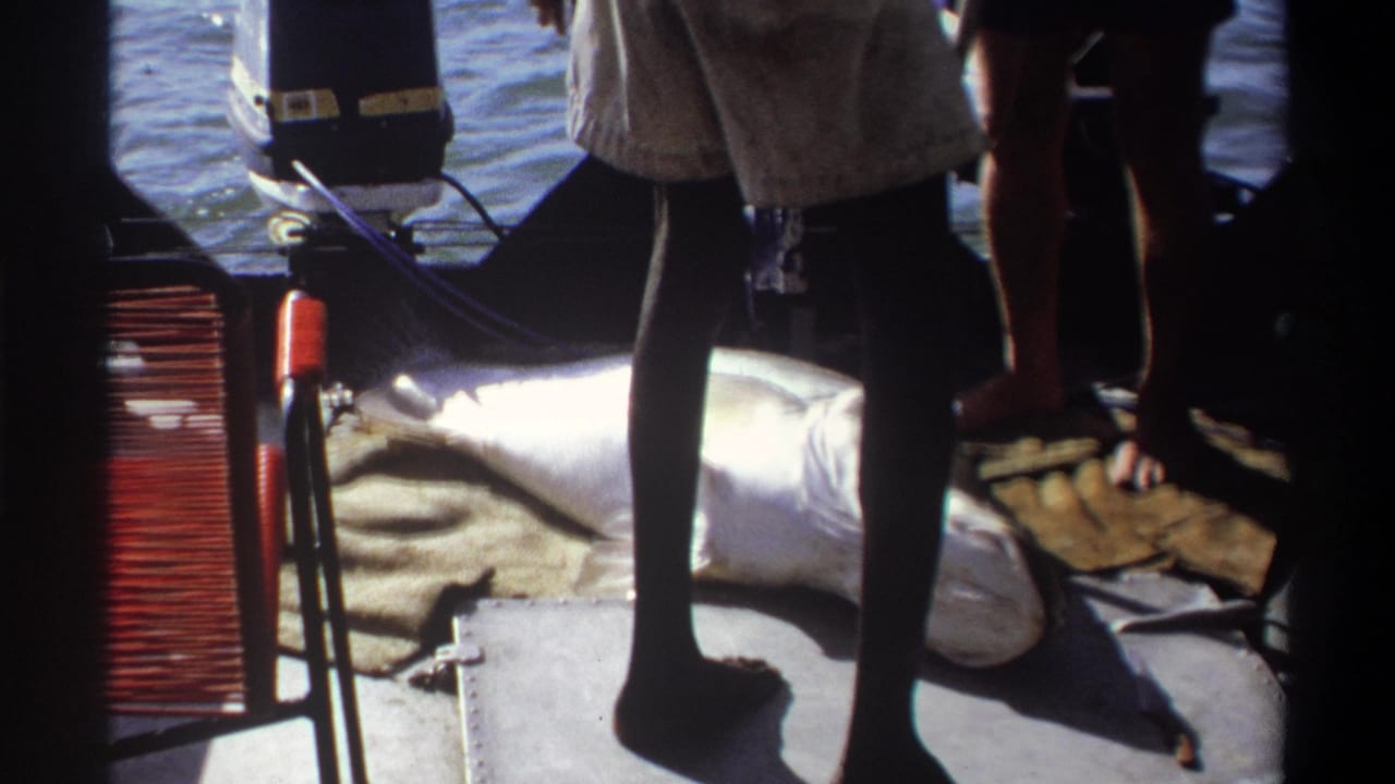 Barefoot men stand on a boat deck beside a large silver fish lying on a sack near an outboard motor.
