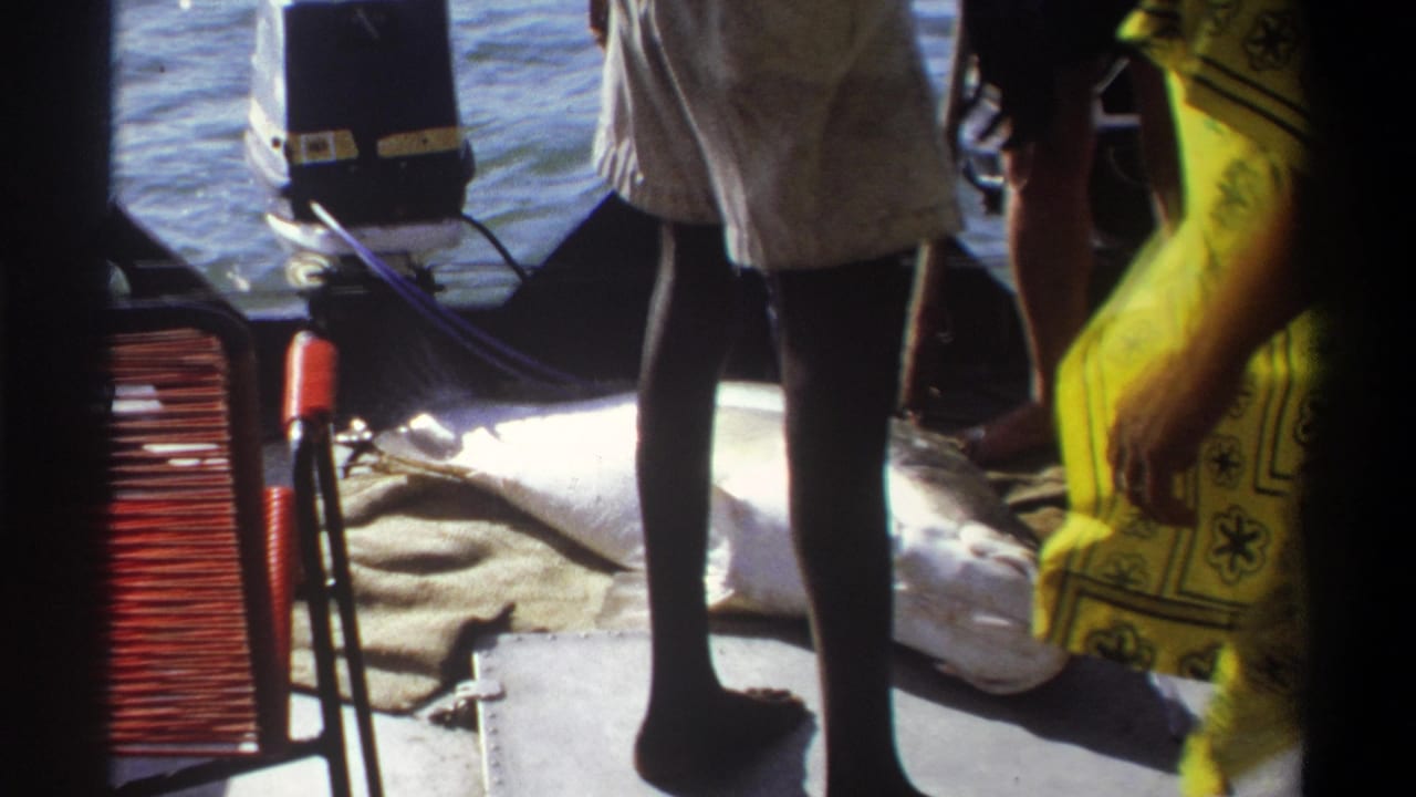 A large fish rests on a boat deck as men stand nearby, with water and an outboard motor behind them.