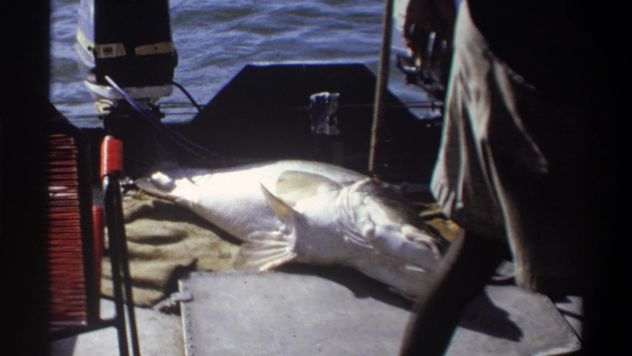 1969 Nigeria 8mm frame showing a large fish on burlap on a boat deck, with calm water, an outboard motor, and a standing adult partly visible.