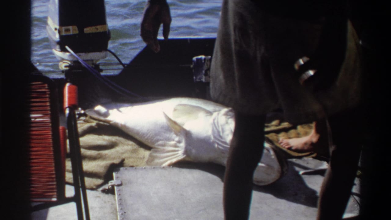 Large fish on burlap beside standing adults on a small boat with water in the background.