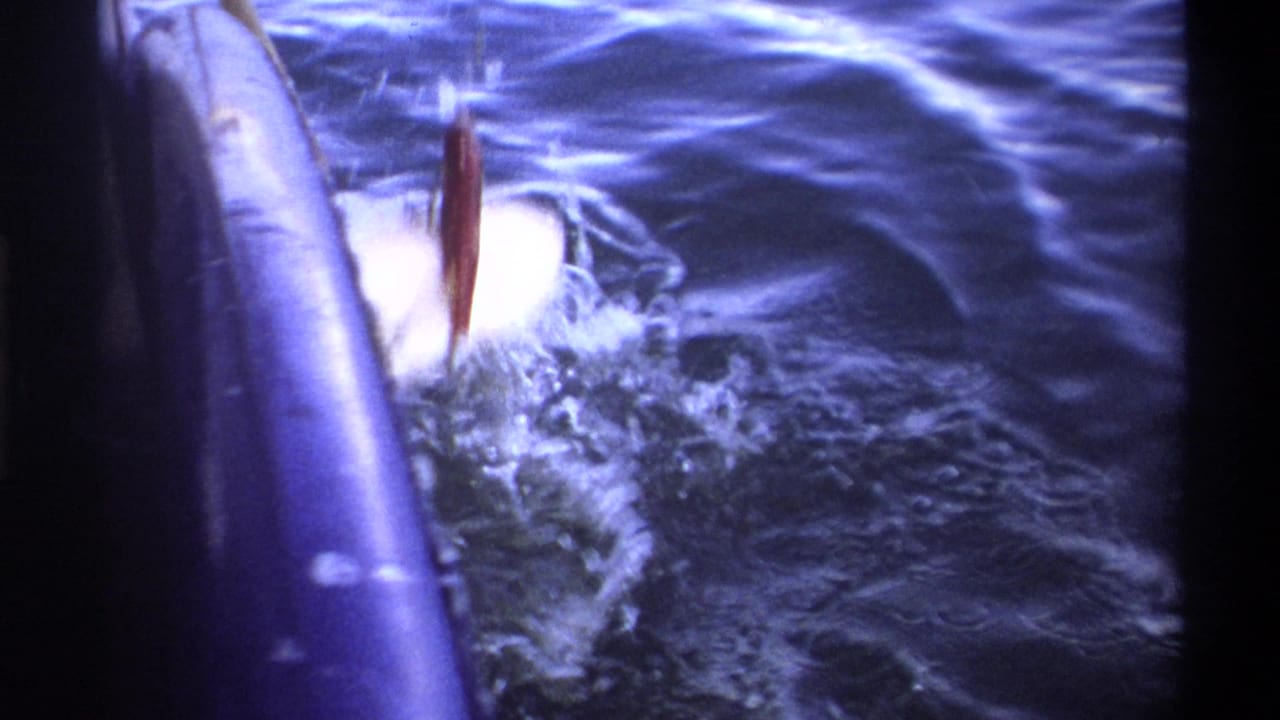 A hooked fish splashes beside the boat in dark blue water.