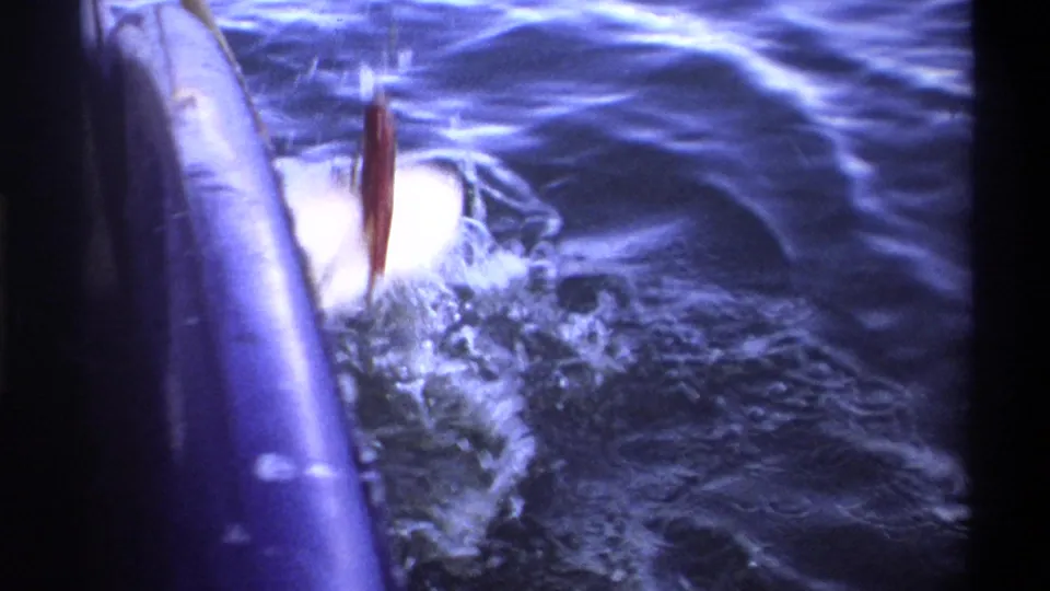 A large hooked fish thrashes near the boat edge, with a red lure or float visible against the water.