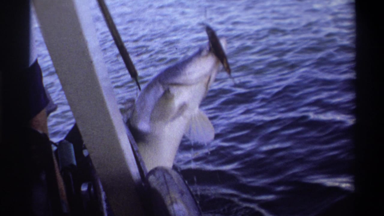 A large pale fish is lifted partly from the water on a line beside the boat, with a person cropped at the edge of the frame.