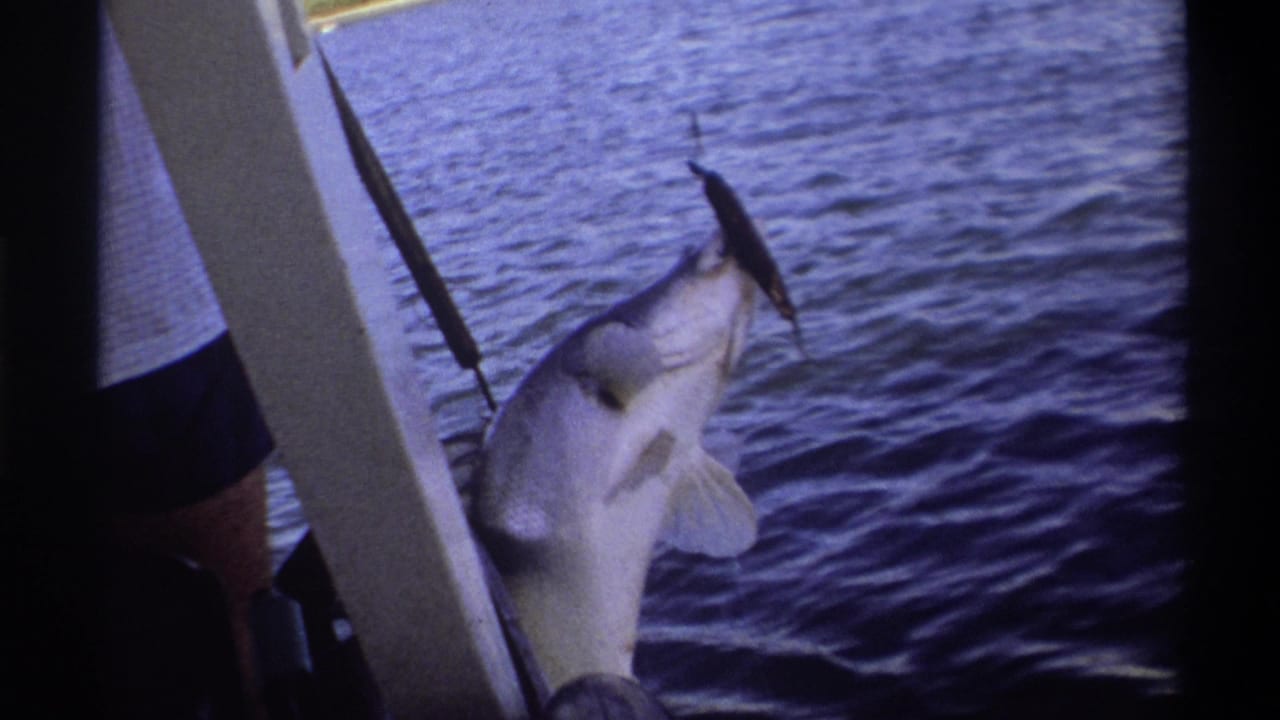 The large hooked fish dangles near the side of the boat over rippled water during the 1969 Nigeria fishing scene.