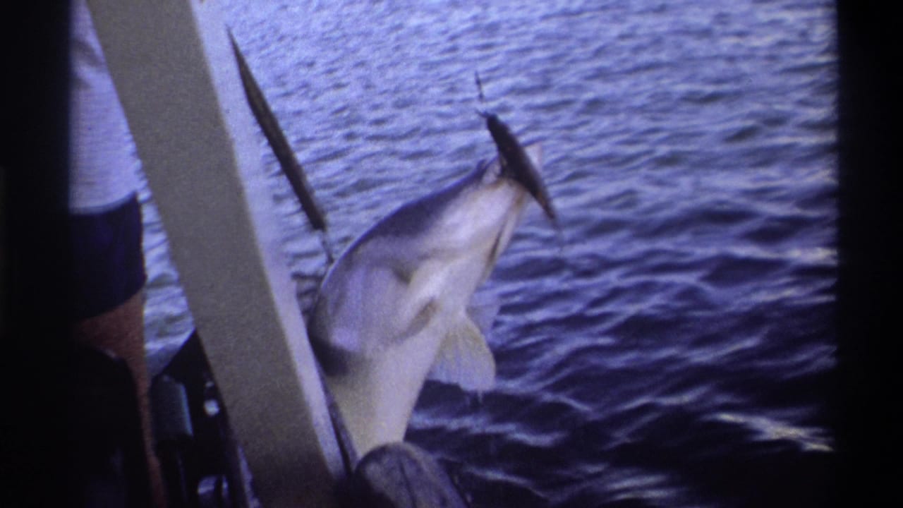Large hooked fish being lifted beside a boat over rippling water.