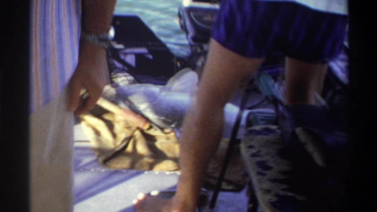 Deck-level home-movie view of a large fish laid aboard a small boat in Nigeria, with adults and equipment nearby.