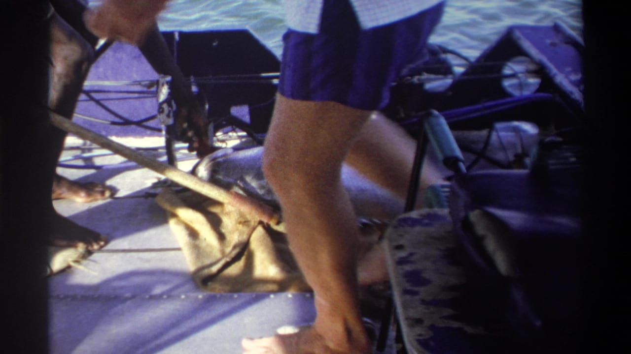 Large fish on a boat deck with adults standing nearby and water behind the boat.
