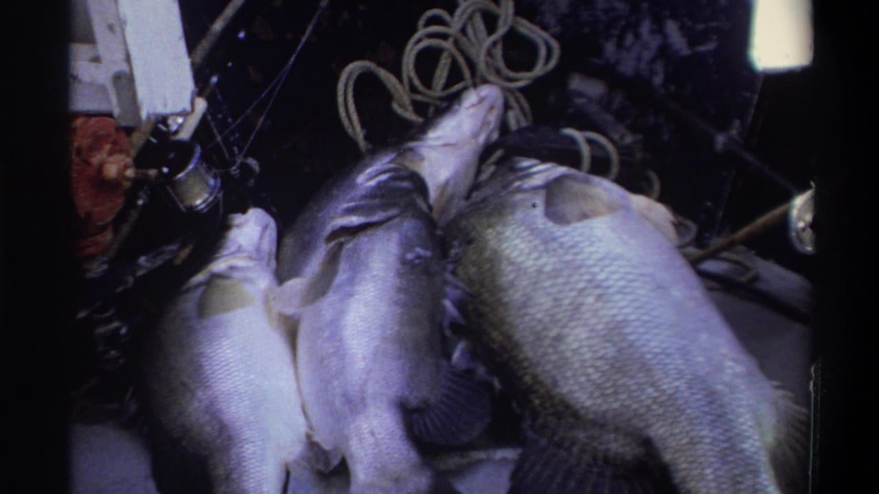 Fresh fish lie on the boat floor near coiled rope and gear, connecting the scene to a catch in the 1969 Nigeria home movie.