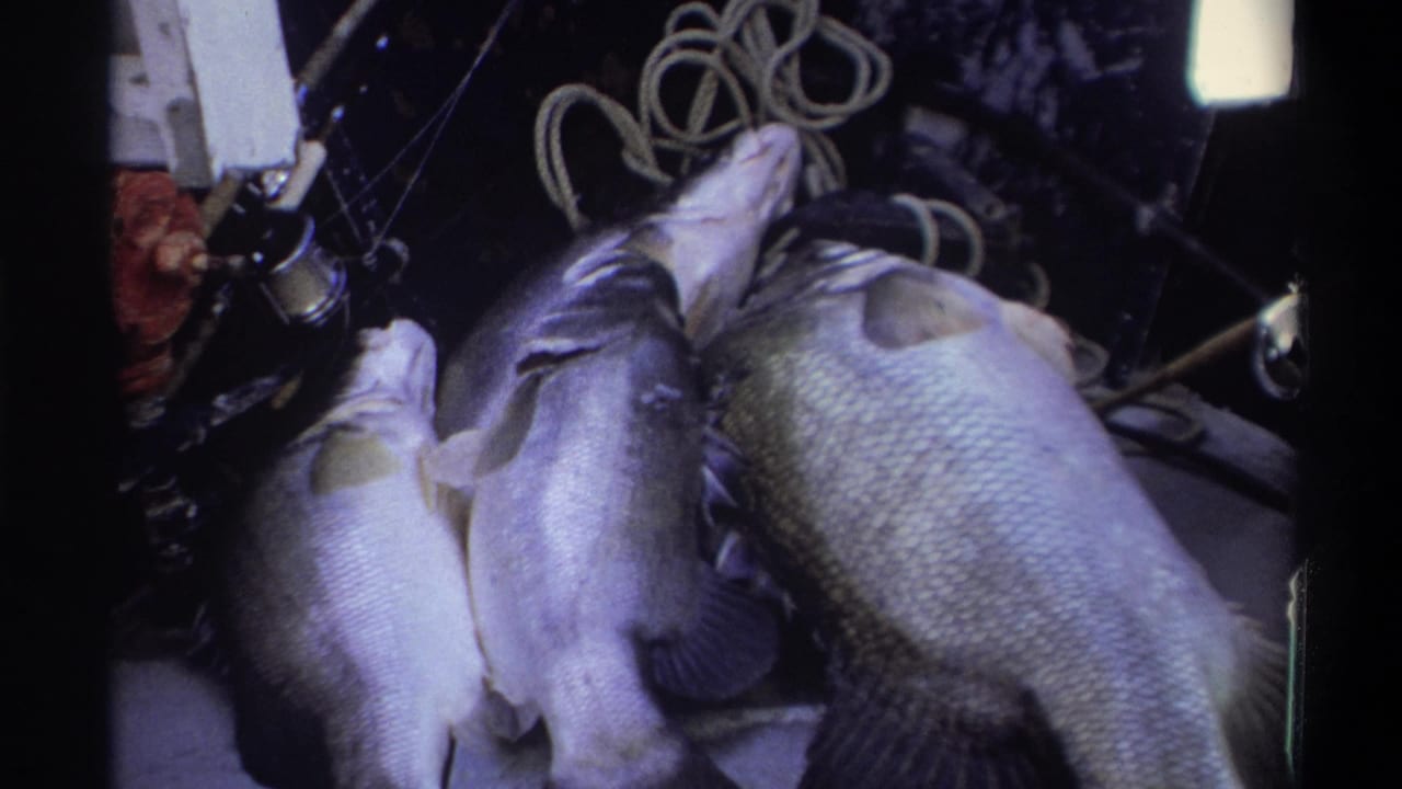 In this 1969 Nigeria 8mm frame, three silvery fish rest on a boat deck with coiled rope and fishing tackle nearby.