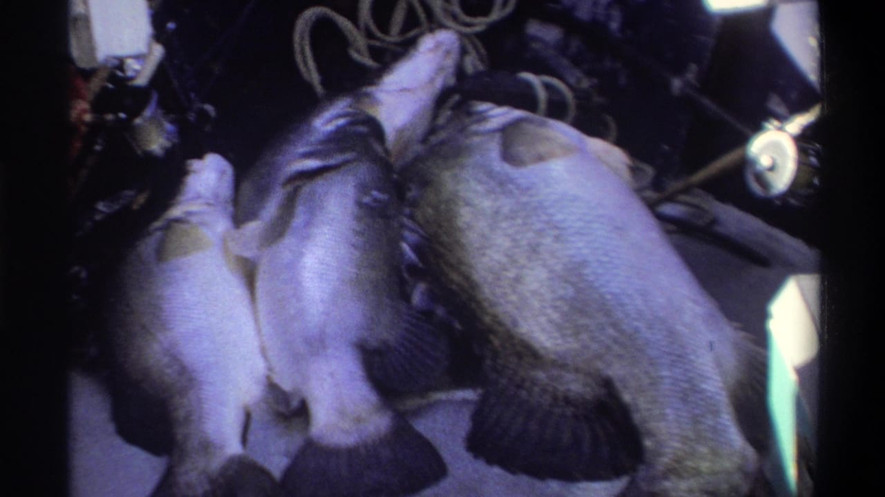 The final 1969 Nigeria frame shows the same fish catch on the boat deck, with the largest fish angled near rope and tackle.