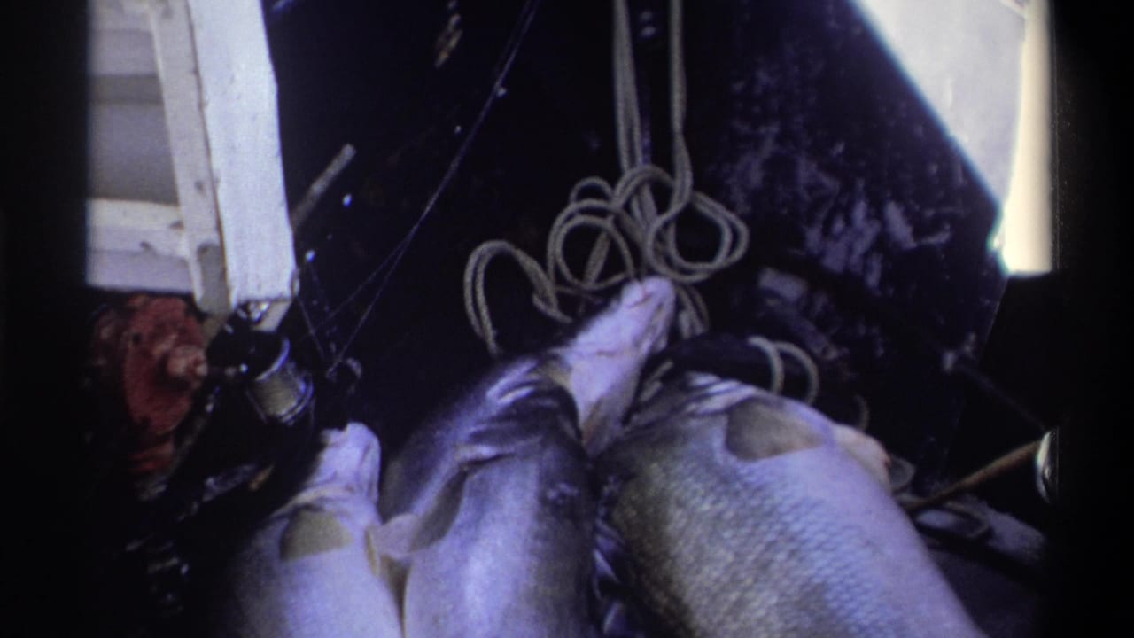 1969 Nigeria 8mm frame showing fish lying on a boat deck beside coiled rope and dark fishing equipment.