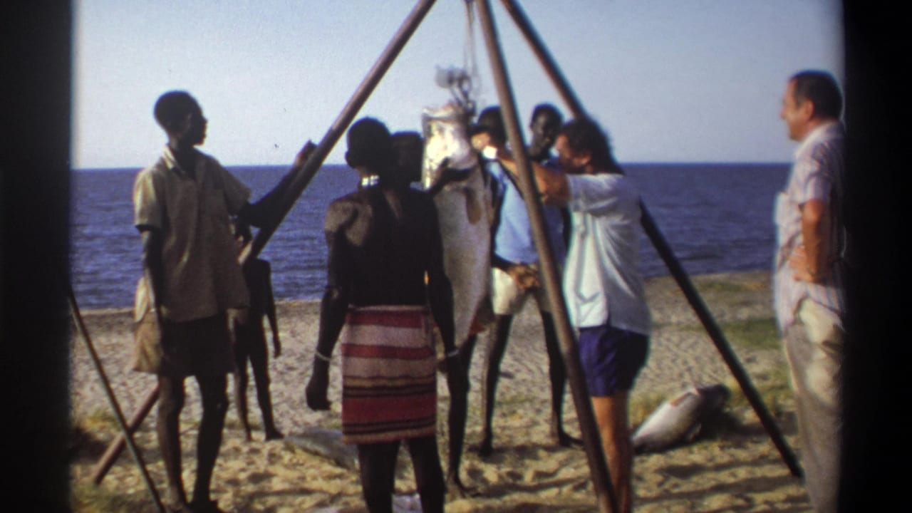 1969 Nigeria home-movie frame showing several adults gathered on a beach as a large fish hangs from a wooden tripod hoist.
