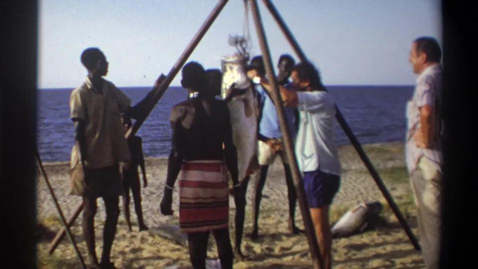 1969 Nigeria home-movie frame showing several adults gathered on a beach as a large fish hangs from a wooden tripod hoist.