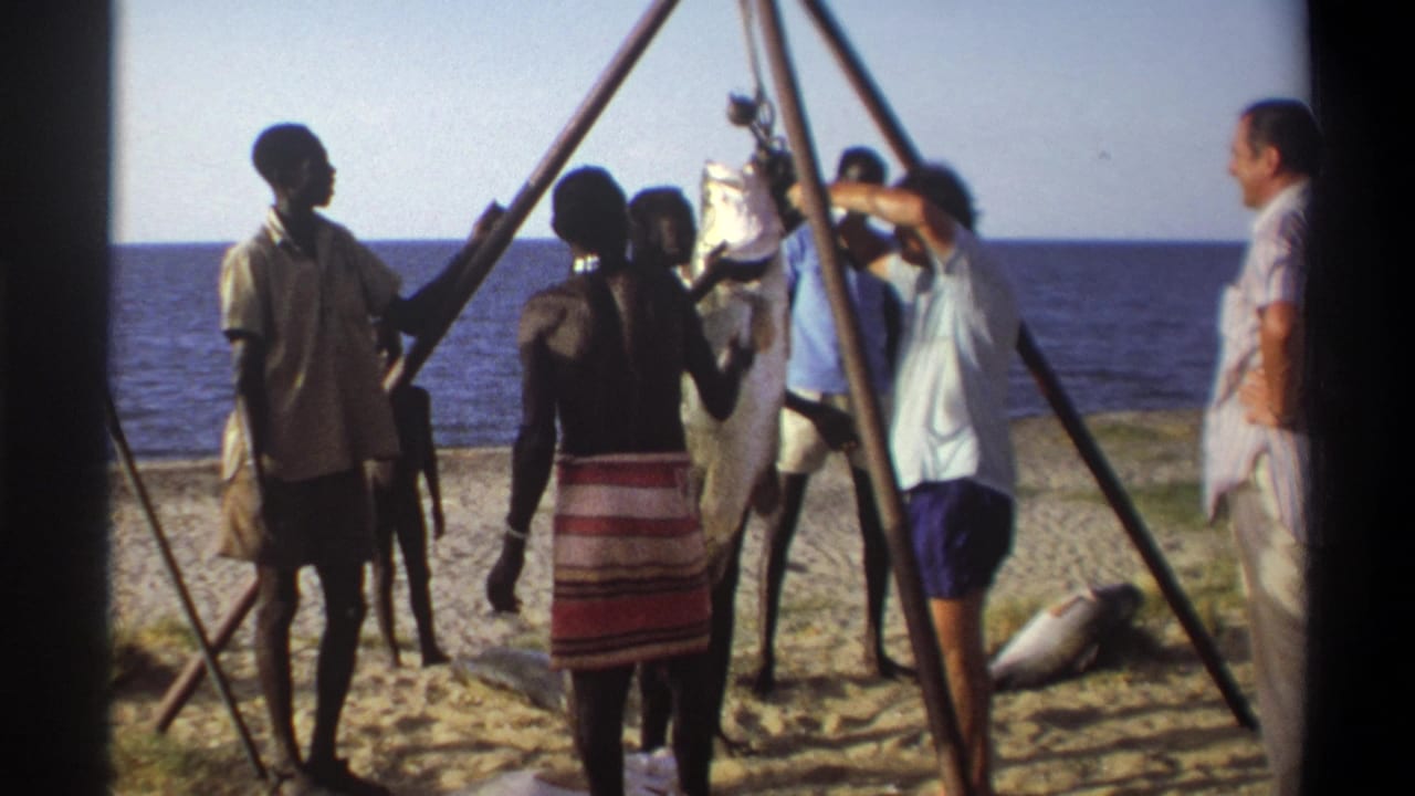 A group adjusts a large fish hanging from a tripod on the beach with the sea behind them.