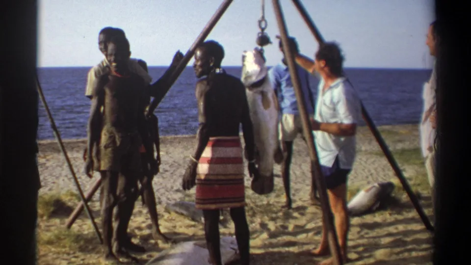 In the final 1969 Nigeria frame, men remain around the beach scale as the large fish hangs beside the sea.