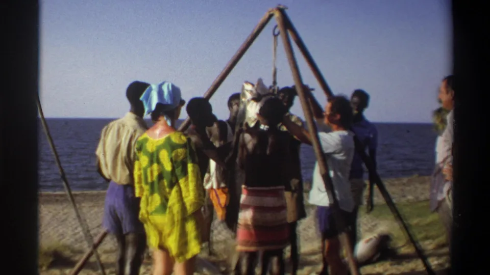 1969 Nigeria 8mm frame showing adults on a beach around a large fish suspended from a tripod, with ocean behind them.