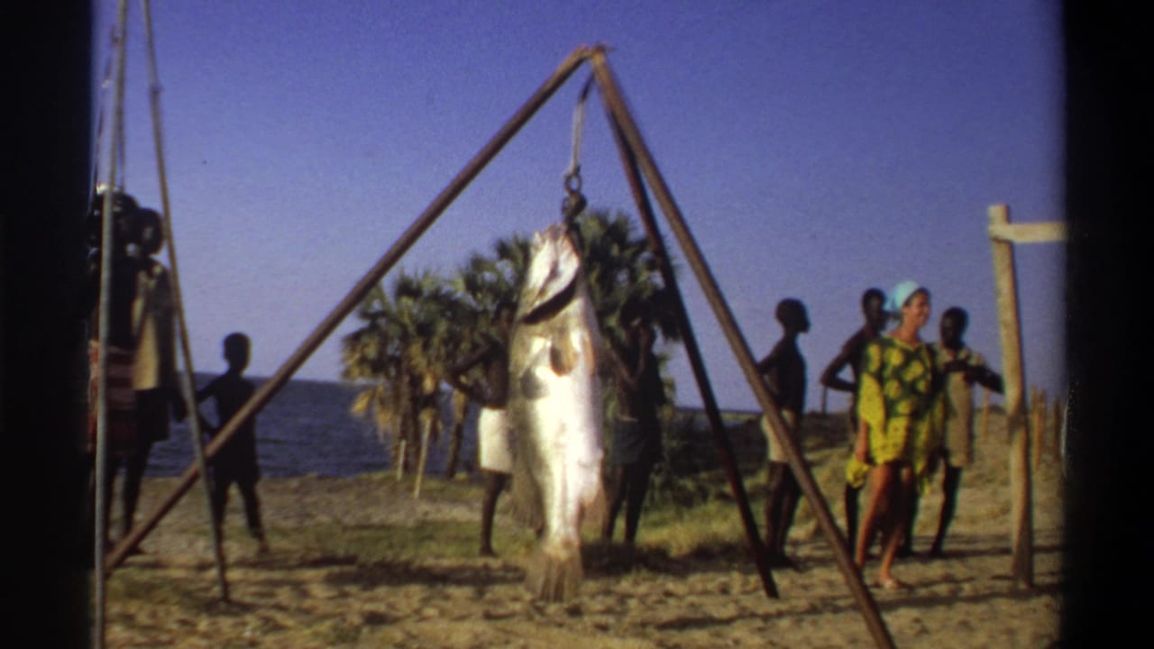 Wide beach view in Nigeria with a large fish suspended from a triangular rig and people standing near palms and the sea.