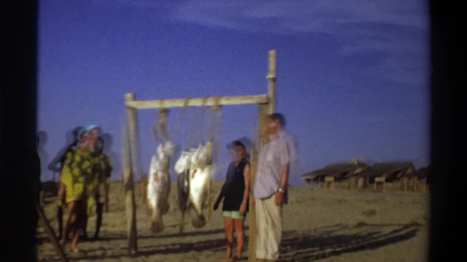 1969 Nigeria home-movie frame showing visitors and local onlookers beside large fish hanging from a wooden beachside frame.