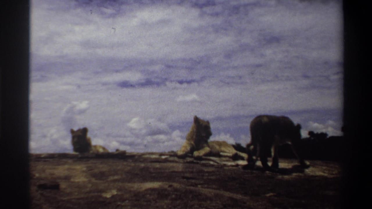 Nigeria 1969 8mm frame with one lioness standing at right and two others resting on the rocky outcrop below clouds.