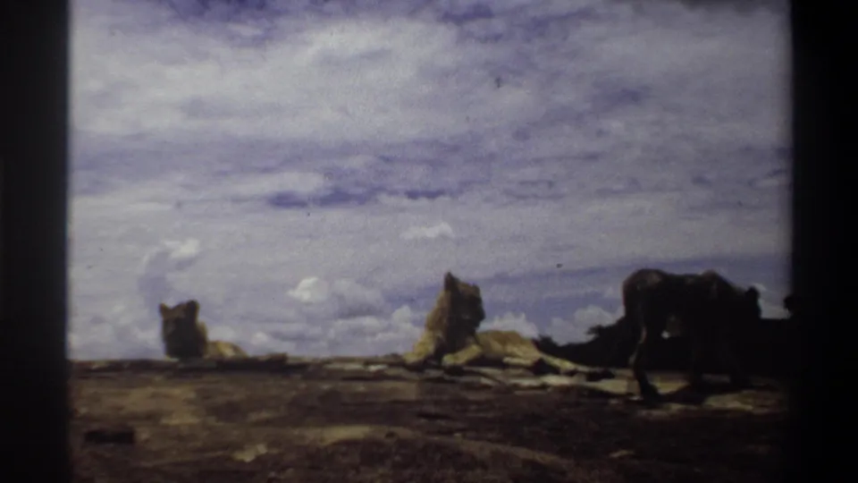 1969 Nigeria 8mm frame showing lionesses on a rocky outcrop, two resting and one standing or walking under a cloudy sky.