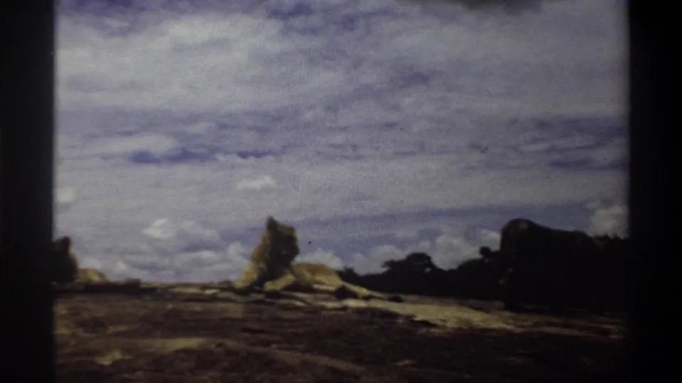 1969 Nigeria 8mm frame with resting lionesses on a rocky rise and a third lioness partly cropped at the right edge.