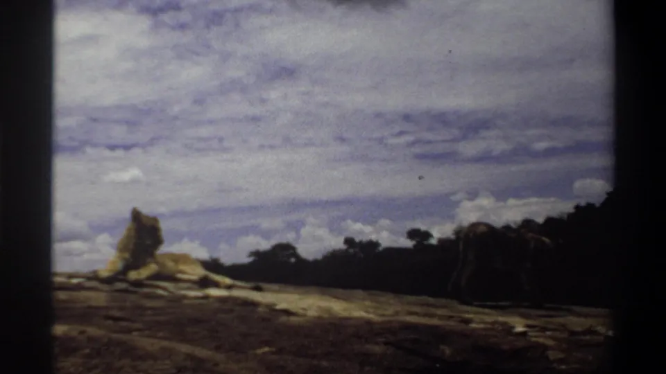 1969 Nigeria 8mm frame showing a seated lioness on the outcrop and another lioness low near the right side.