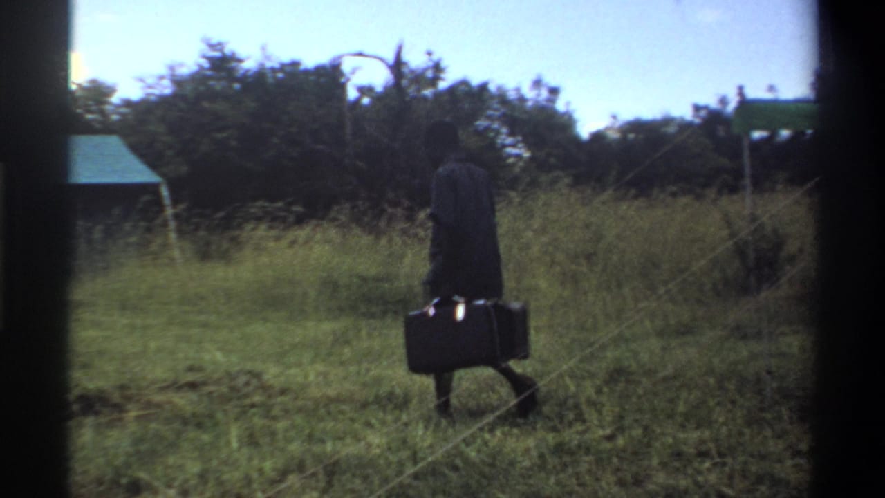 Man in a dark suit walks through tall grass carrying two suitcases.