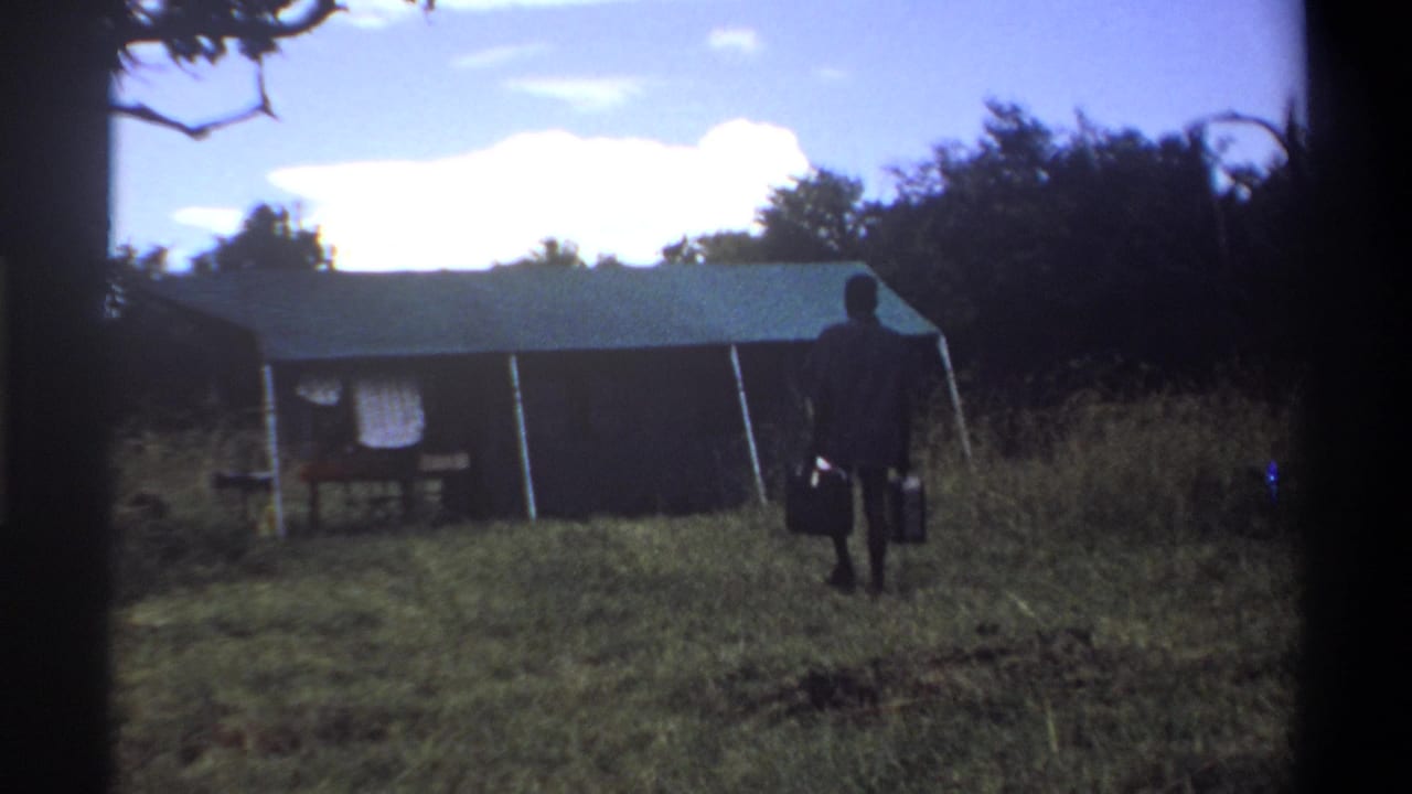 Man with suitcases nears a tent across a grassy field with trees behind it.