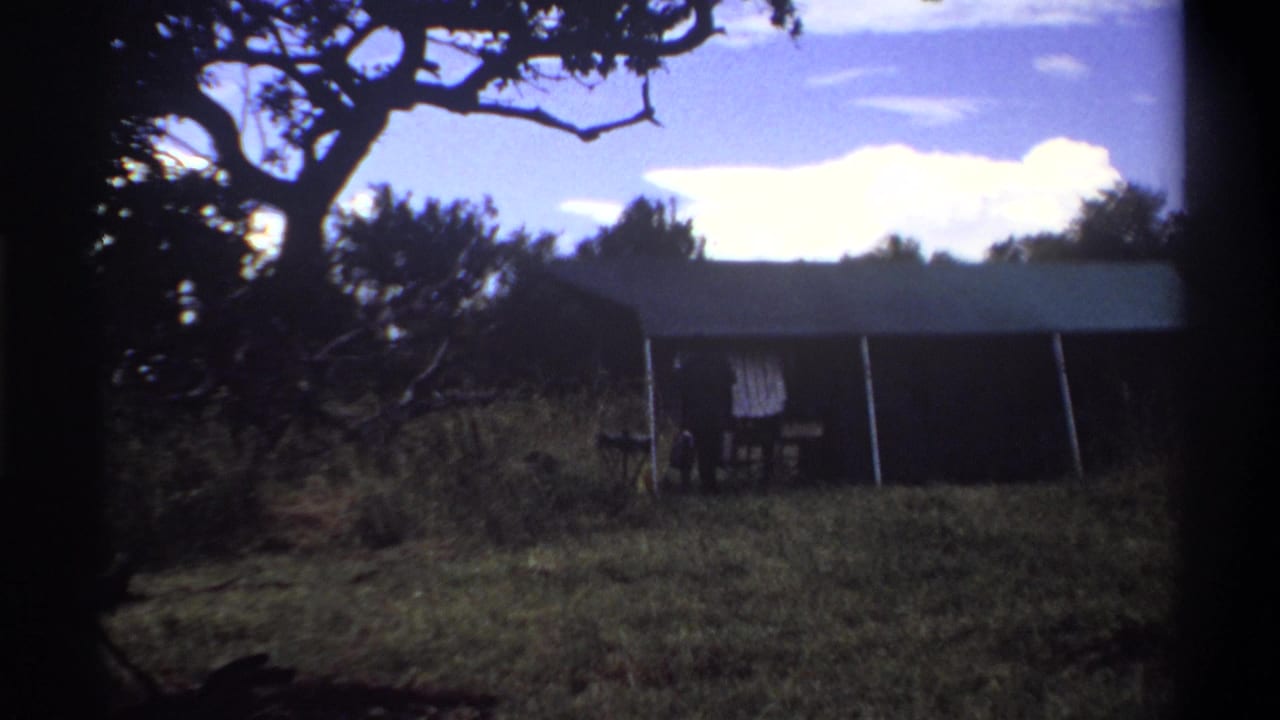 1969 Lagos home-movie frame showing a person beside a dark shelter under overhanging tree branches in grass.