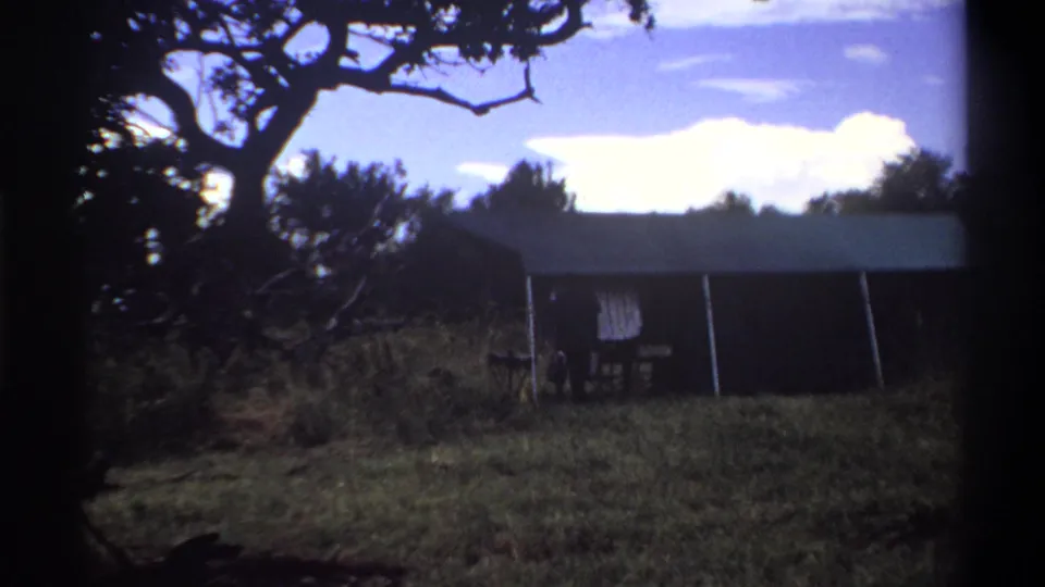 1969 Lagos home-movie frame showing a person beside a dark shelter under overhanging tree branches in grass.