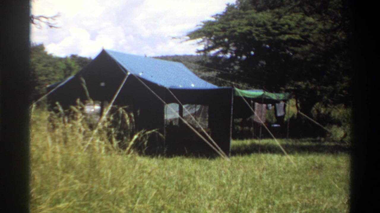 Dark tent with blue roof, guy ropes, tall grass, trees, and hanging laundry.