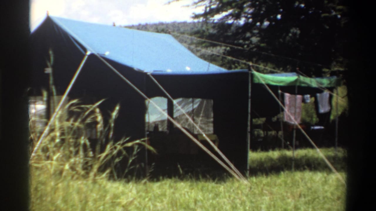 Closer view of the tent with guy ropes, grass, trees, and laundry at the side.