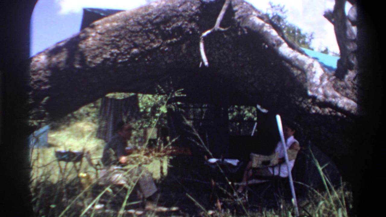 A large fallen tree trunk crosses the foreground near two seated adults at a campsite.