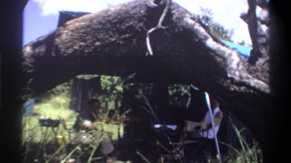 The couple at the Lagos campsite is partly hidden behind a large fallen tree trunk, with tent fabric and tall grass visible around them.