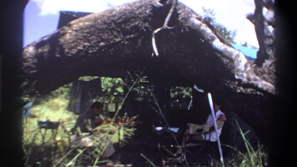 In the final frame, the fallen tree dominates the foreground while two adults sit near the tent at the Lagos campsite.