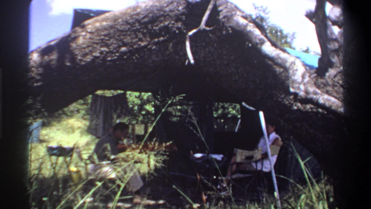 In Lagos, Nigeria, 1969, two adults sit in folding chairs at a small table under a large shade tree.