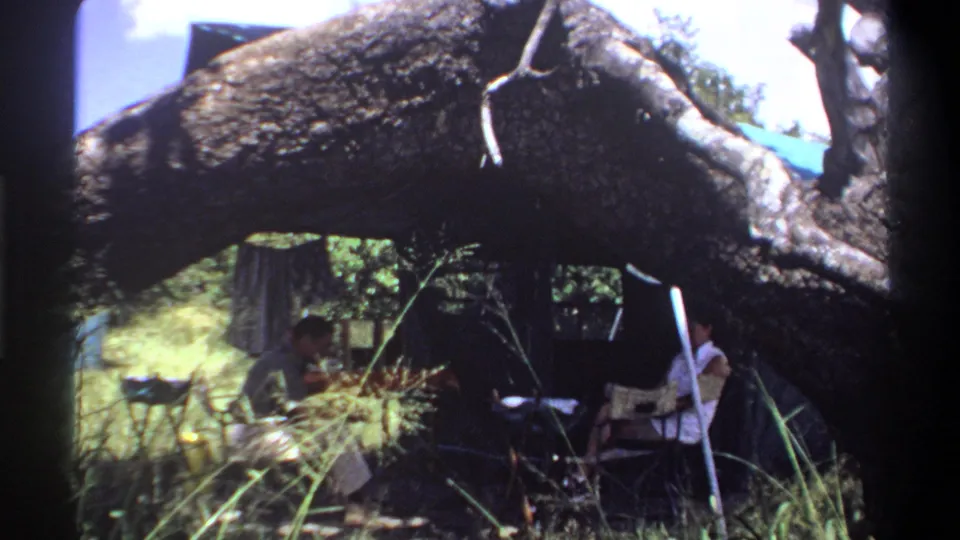 In Lagos, Nigeria, 1969, two adults sit in folding chairs at a small table under a large shade tree.