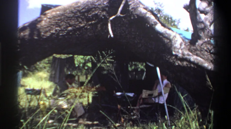 Two adults sit under a large tree in 1969 Lagos, with grass, branches, and outdoor furniture visible around them.