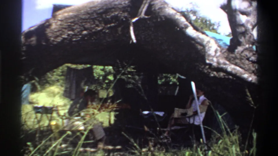 A man and woman appear seated at a small table outdoors in Lagos, Nigeria, with the scene framed by a broad tree branch.
