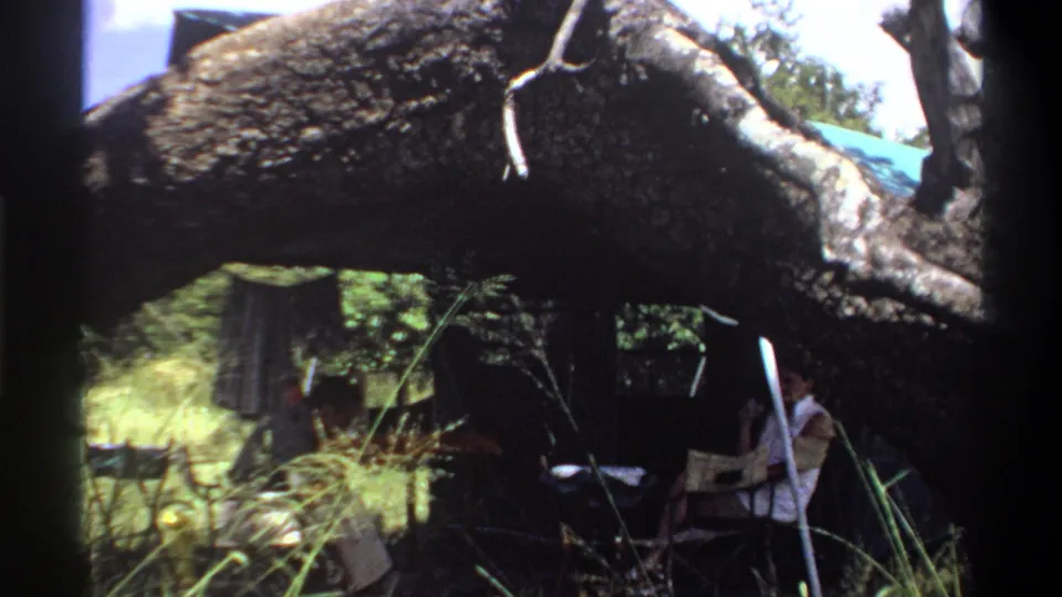 The final frame shows two adults at a small outdoor table in 1969 Lagos, partly obscured by shade, grass, and tree branches.