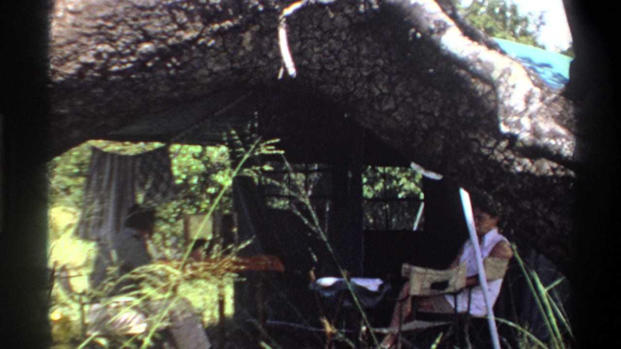 1969 Lagos, Nigeria home-movie frame of adults seated in folding chairs beside a dark canvas tent under a large tree limb.