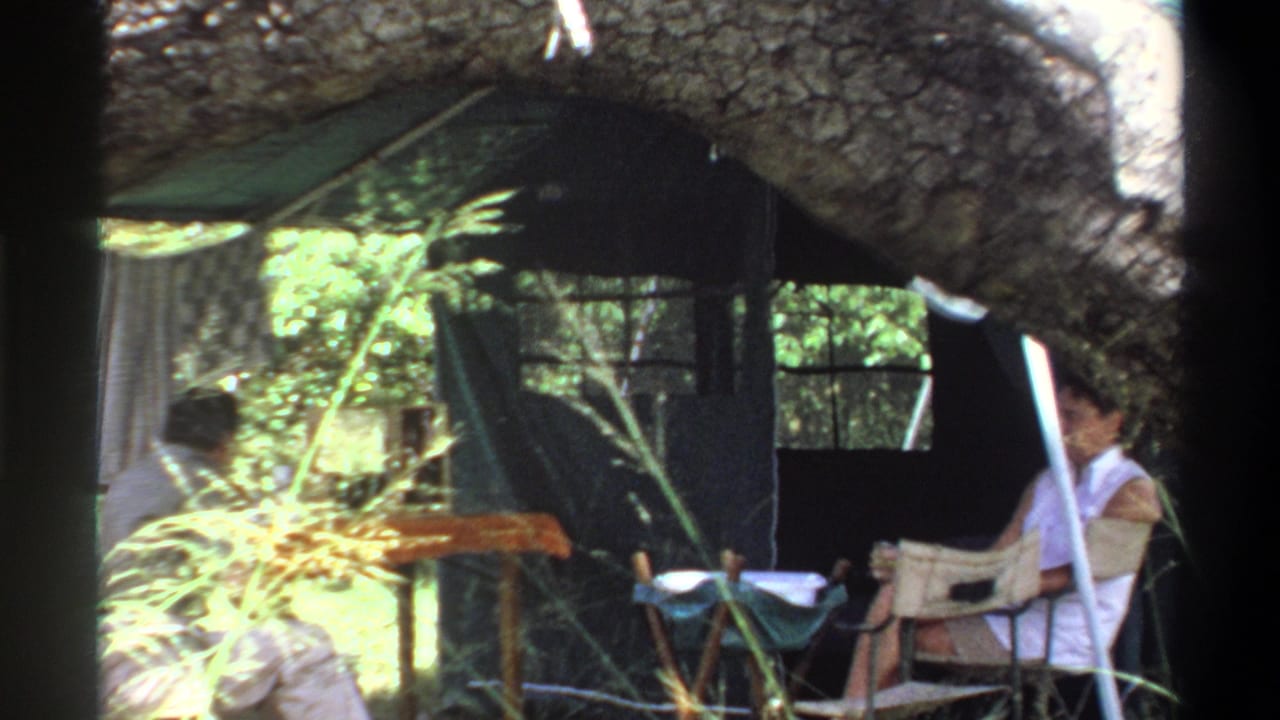 Shaded campsite with seated adults, folding chairs, and a tent behind branches.