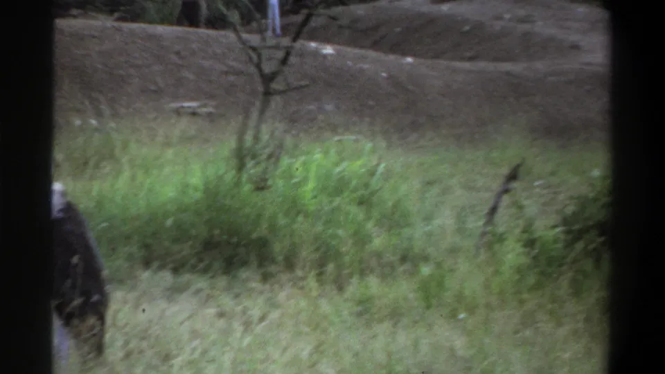 1969 Lagos home-movie frame showing grassy terrain, a low dirt mound, scattered trees, and a dark foreground shape at the left edge.