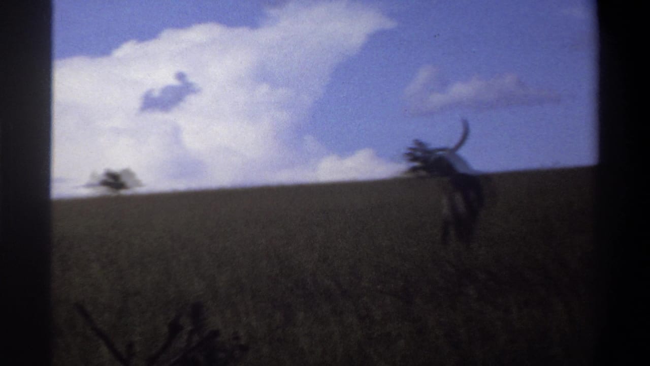 Distant horned animal on a grassy ridge with bright clouds overhead.