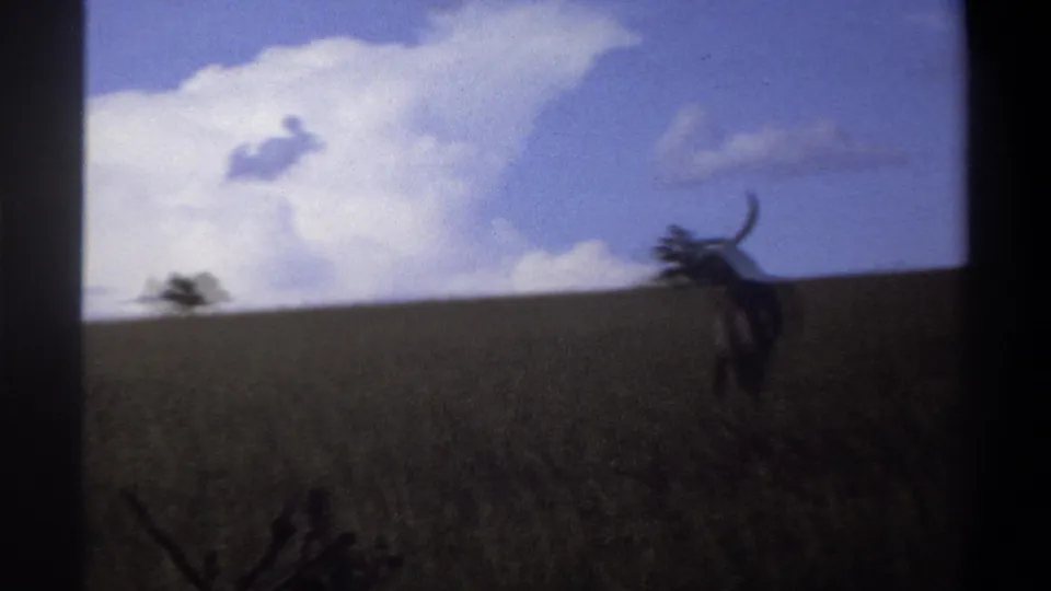 1969 Lagos, Nigeria home-movie frame with a distant horned animal moving across a grassy ridge beneath large white clouds.