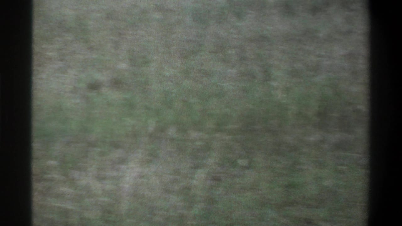 Soft, grainy 1969 8mm frame from Lagos metadata showing tall grass and dark contact-sheet borders with indistinct background detail.