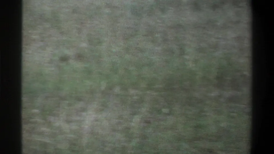 Soft, grainy 1969 8mm frame from Lagos metadata showing tall grass and dark contact-sheet borders with indistinct background detail.